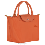 Women Carot Longchamp Le Pliage Green Handbag Bags L0640841 - Image 3