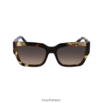 Women Green Havana Longchamp Spring/Summer Collection 2023 Sunglasses Accessories L06408880