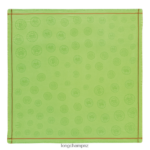 Women Green Light Longchamp Spring/Summer 2023 Collection Shawl Accessories L06408978
