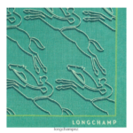Women Green Light Longchamp Spring/Summer 2023 Collection Stole Accessories L06408988 - Image 2