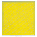Women Lemon Longchamp Spring/Summer 2023 Collection Silk scarf 70 Accessories L064081031
