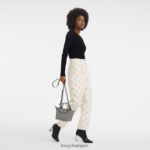 Women Turtledove Longchamp Le Pliage Xtra Handbag Bags L06408148 - Image 2